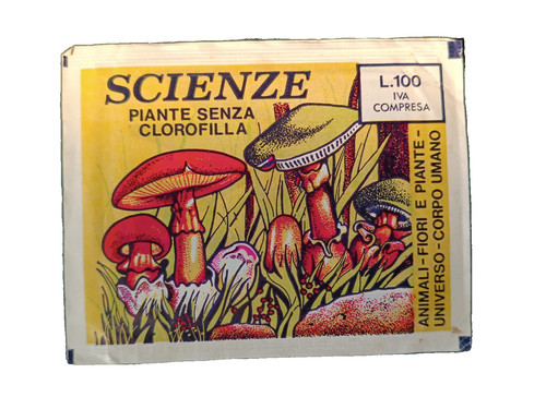 Bustina scienze piante senza - piante,